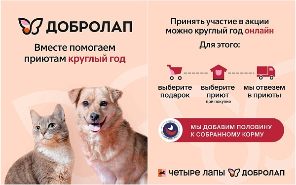 Кошка из приюта ждёт помощи