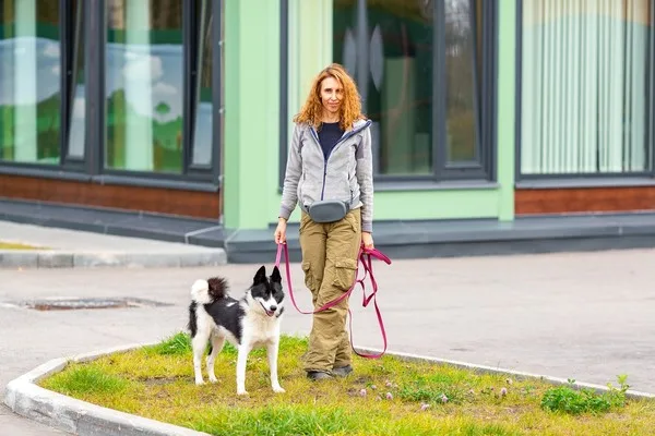 Собака Буран, кобель, Приют Малинки (Кожухово), Москва. Фото 4 из 7.