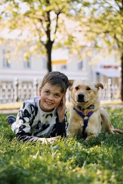 Собака Стёпа, кобель, Приют Малинки (Кожухово), Москва. Фото 18 из 20.