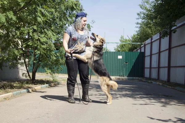 Собака Дени, кобель, Приют Малинки (Кожухово), Москва. Фото 6 из 7.