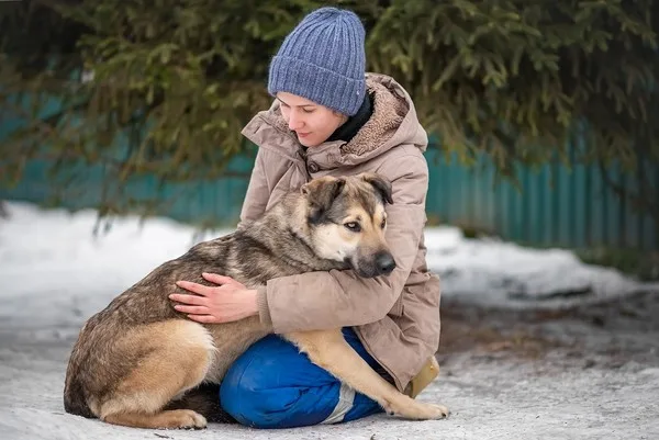 Собака Зевс, кобель, Приют Малинки (Кожухово), Москва. Фото 13 из 16.