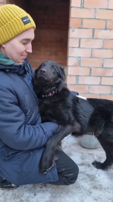 Собака Бурбон, кобель, Приют Малинки (Кожухово), Москва. Фото 4 из 11.