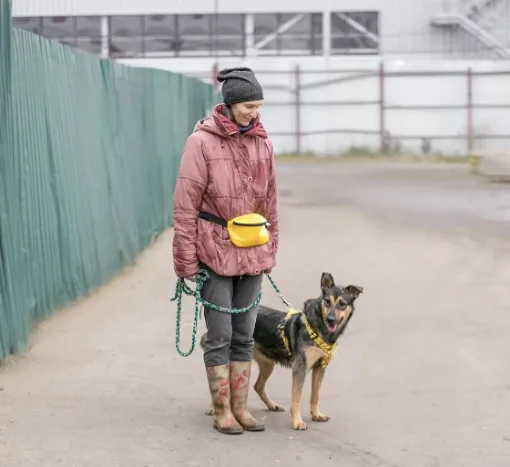 Собака Веста, сука, Приют Малинки (Кожухово), Москва. Фото 5 из 8.