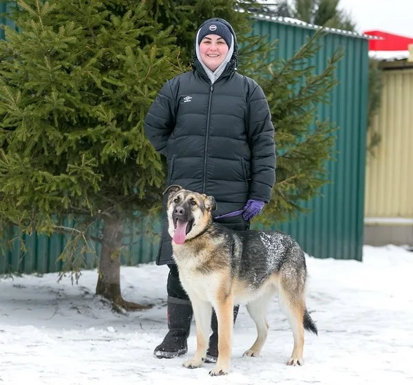 Собака Север, кобель, Приют Малинки (Кожухово), Москва. Фото 7 из 8.