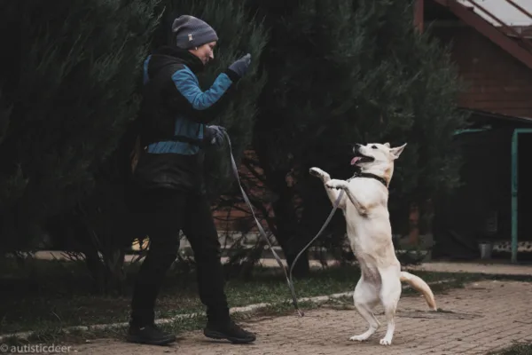 Собака Белинда, сука, Приют Малинки (Кожухово), Москва. Фото 6 из 20.