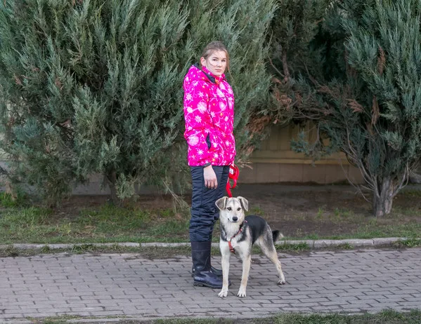 Собака Лета, сука, Приют Малинки (Кожухово), Москва. Фото 9 из 11.