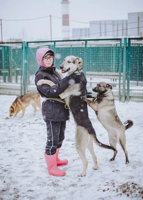 Собака Маркес, кобель, Приют Малинки (Кожухово), Москва. Фото 3 из 17.