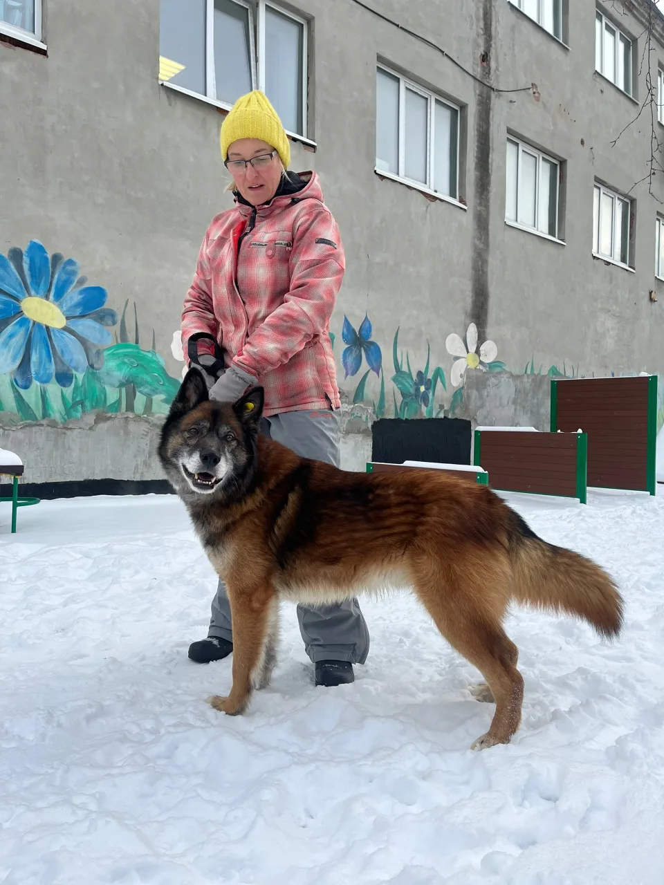 Собака Паша, кобель, ЗООзащита, Екатеринбург. Фото 3 из 4.