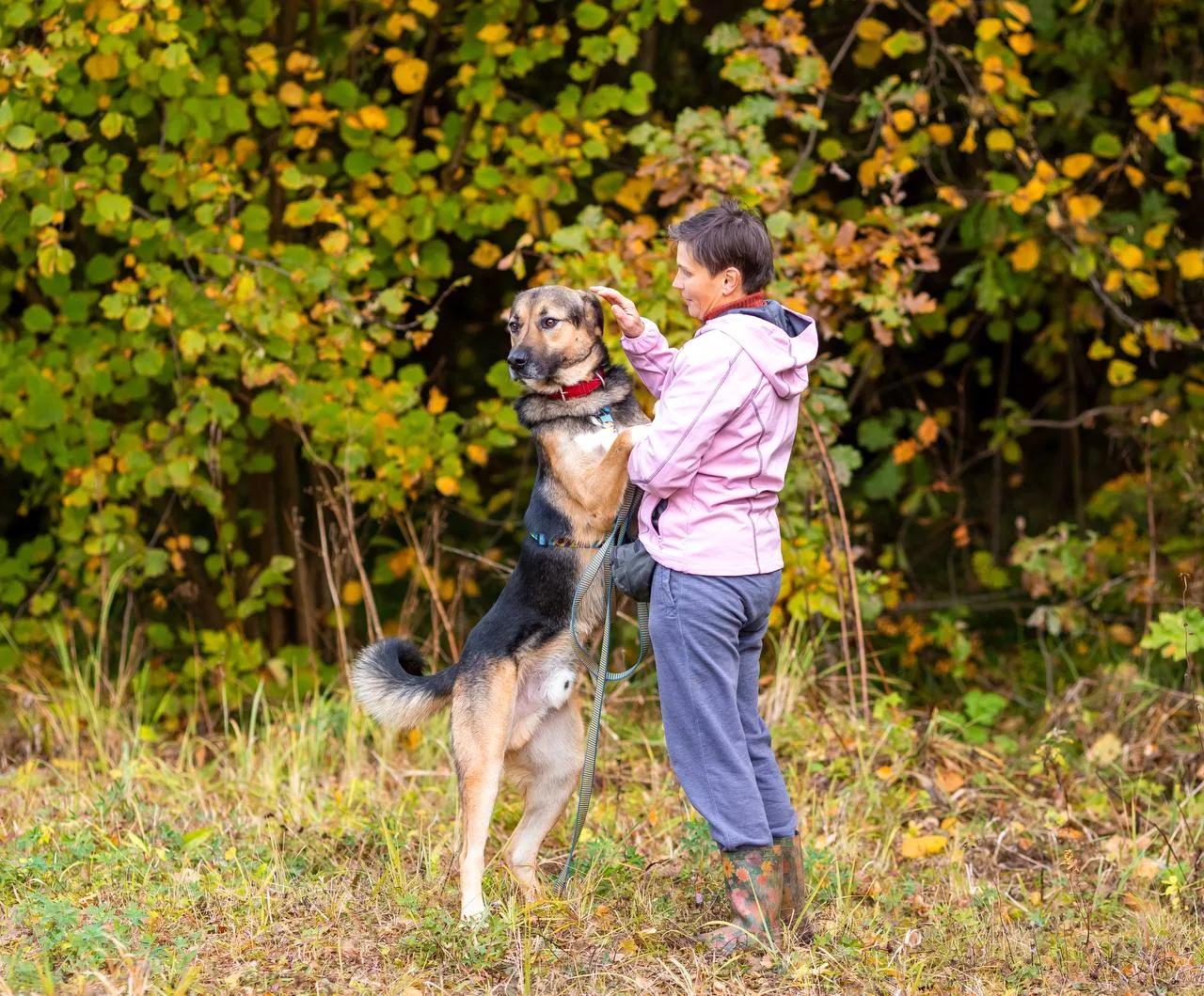 Собака Кураж, кобель, Приют Малинки (Кожухово), Москва. Фото 6 из 10.
