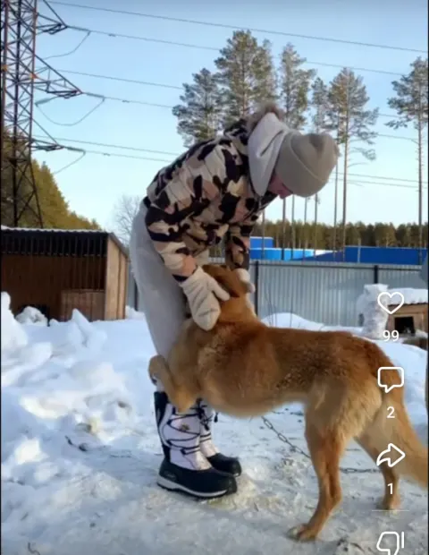 Ник — собака, Сысерть