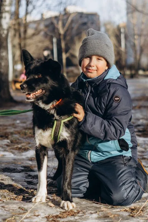 Собака Мишель, сука, Приют «Искра», Москва. Фото 4 из 12.