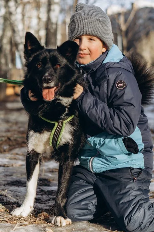 Собака Мишель, сука, Приют «Искра», Москва. Фото 7 из 12.