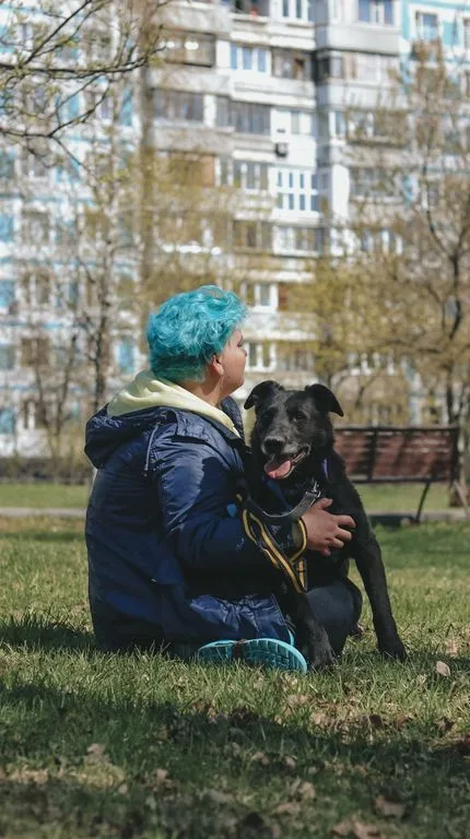 Собака Бонди, кобель, Приют «Искра», Москва. Фото 4 из 4.