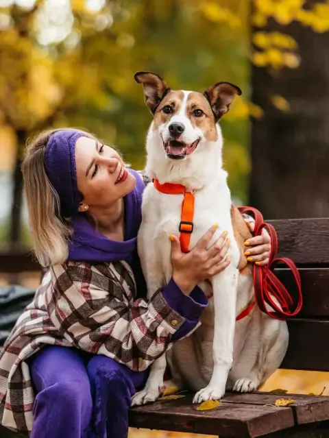 Симба — собака Около 7 лет, Москва