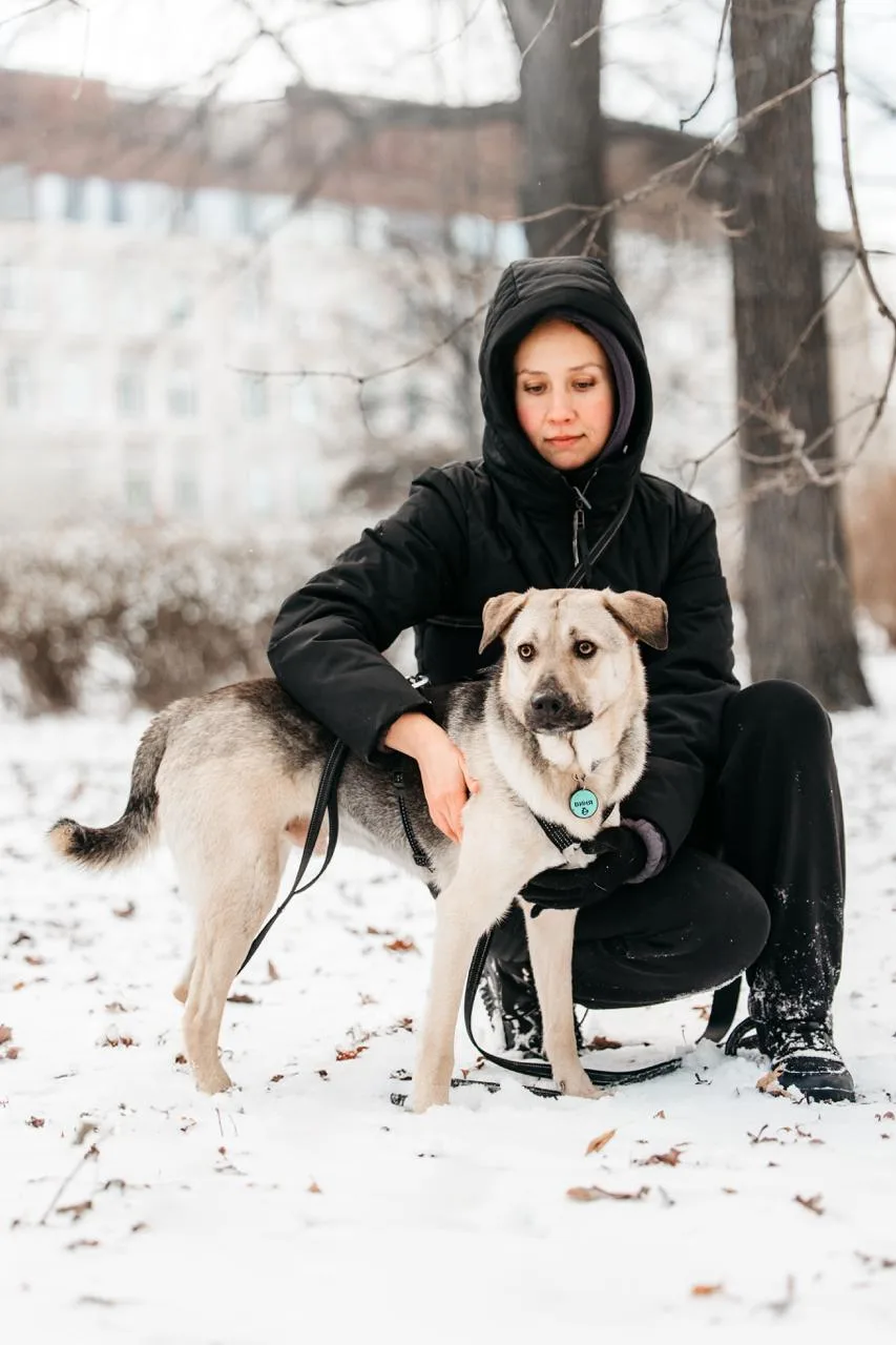 Собака Виня, кобель, Приют «Дубовая Роща», Москва. Фото 4 из 6.
