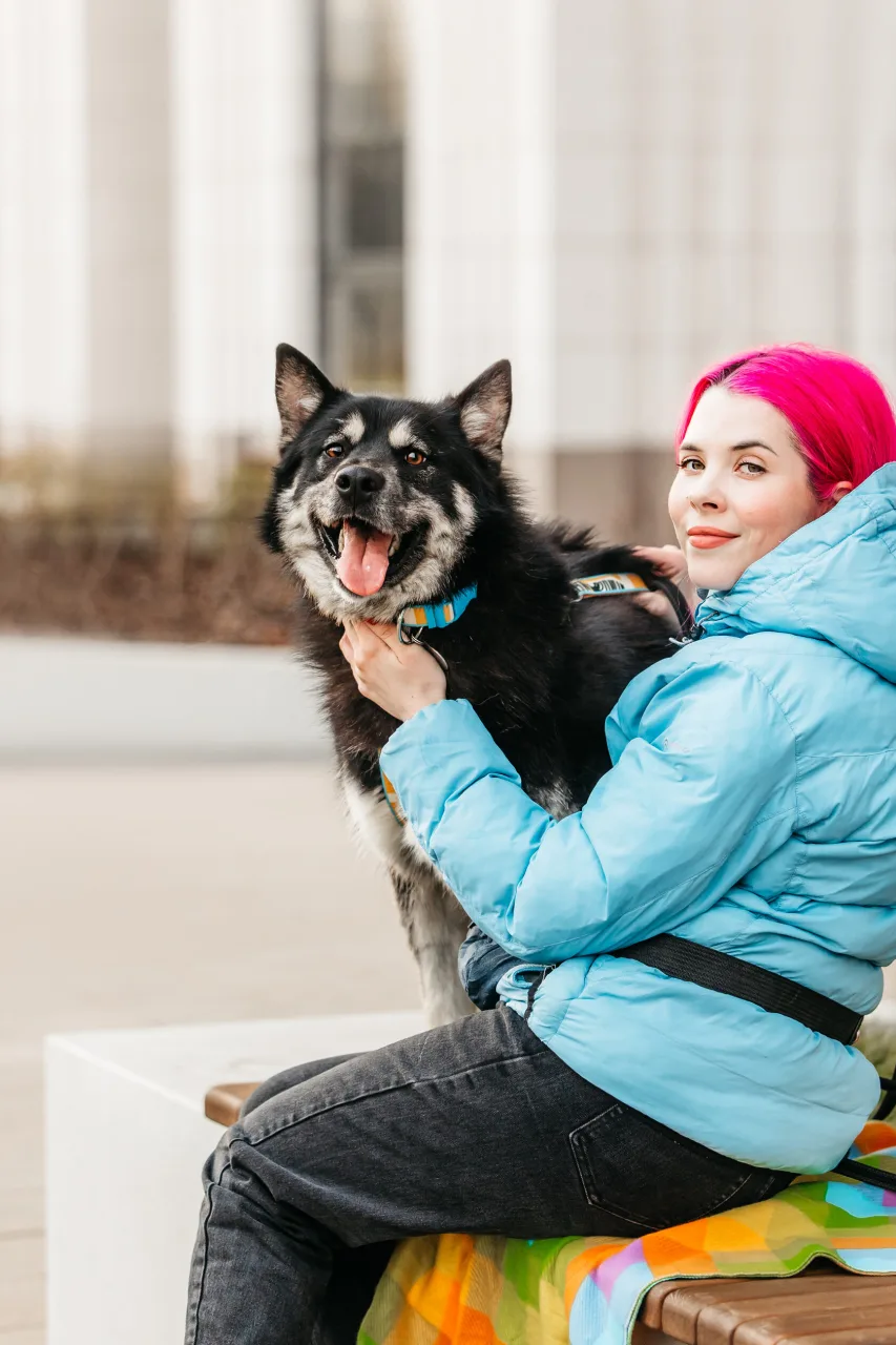 Собака Хьюстон, кобель, Приют «Дубовая Роща», Москва. Фото 4 из 5.