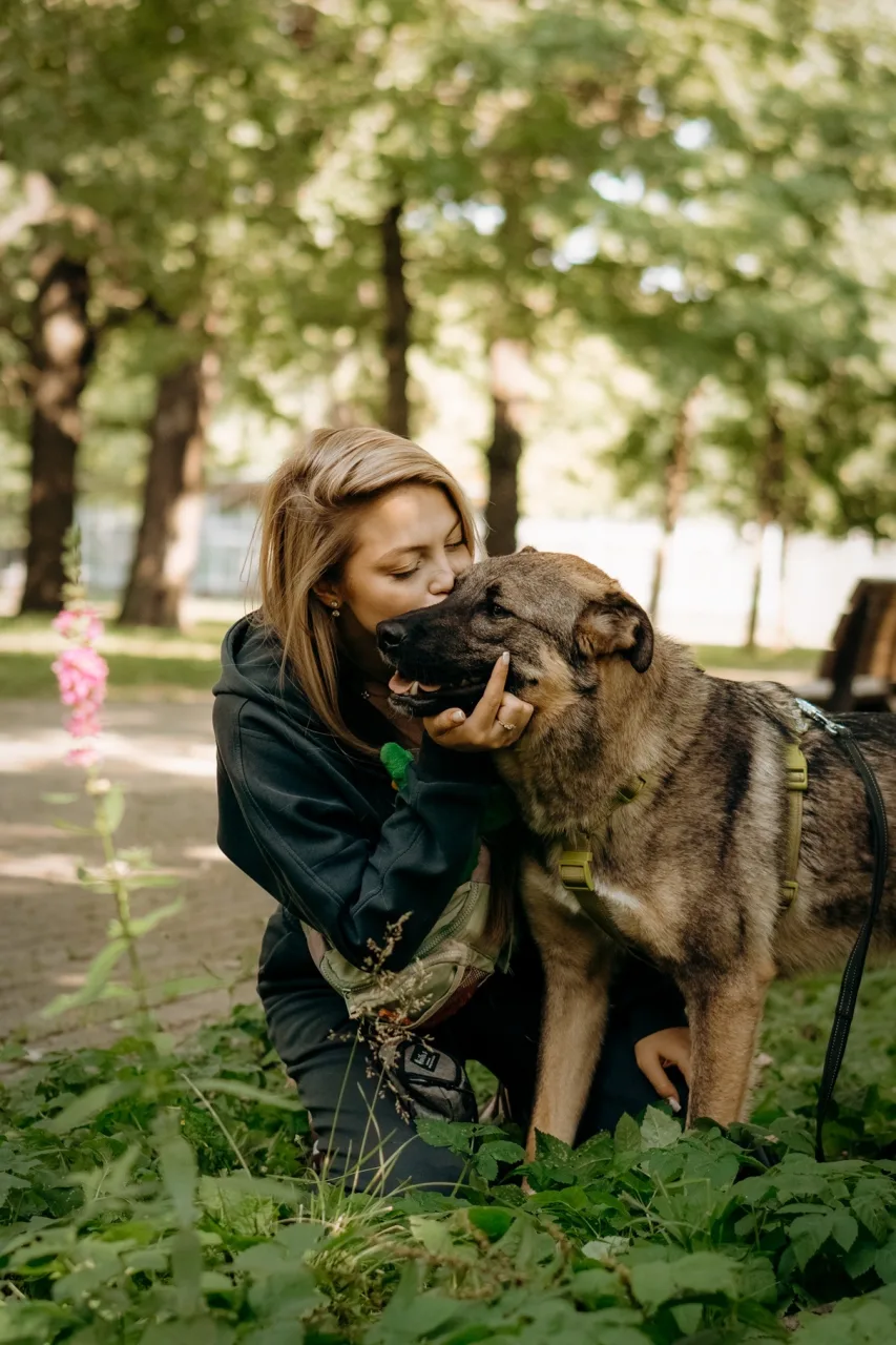 Собака Теодор, кобель, Приют «Дубовая Роща», Москва. Фото 5 из 6.