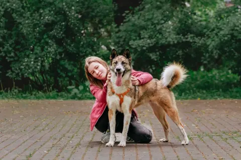 Гера — собака Около 2 лет, Москва