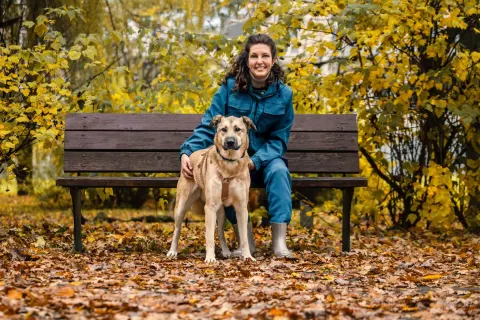 Лайма — собака Около 4 лет, Москва