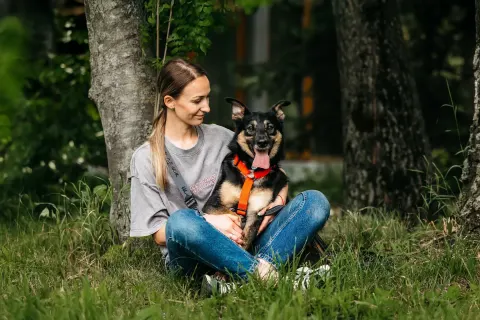 Киви — собака Около 2 лет, Москва