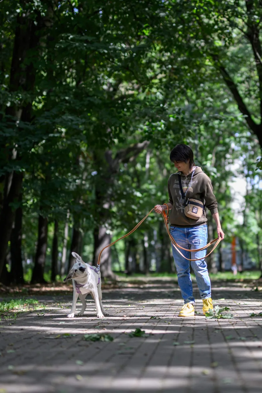 Собака Мотя, сука, Приют «Дубовая Роща», Москва. Фото 3 из 5.