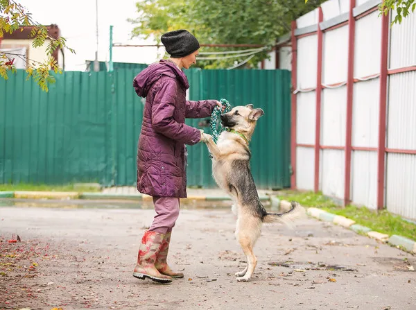 Собака Август, кобель, Приют Малинки (Кожухово), Москва. Фото 4 из 6.